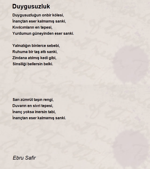 Ebru Safir