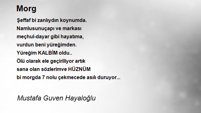 Mustafa Guven Hayaloğlu