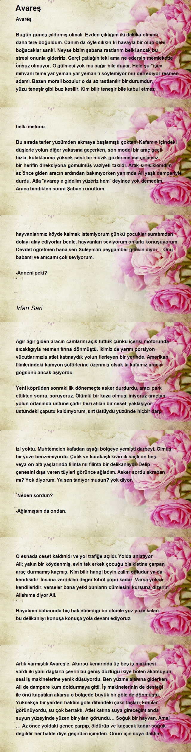 İrfan Sari 2