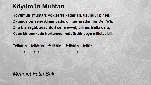 Mehmet Fatin Baki