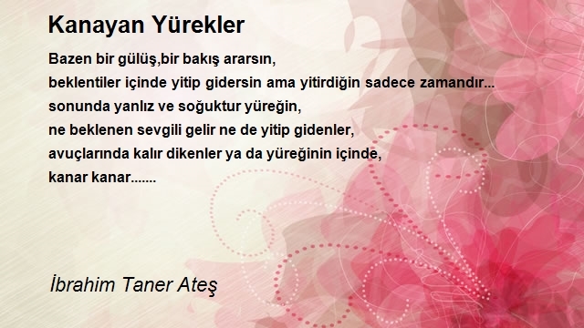 İbrahim Taner Ateş