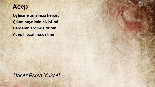 Hacer Esma Yüksel