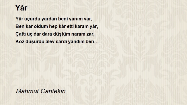 Mahmut Cantekin