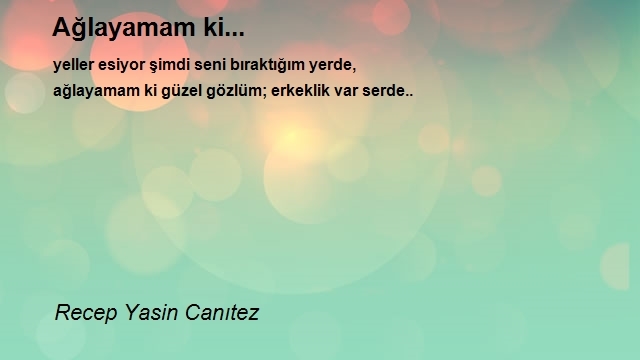 Recep Yasin Canıtez