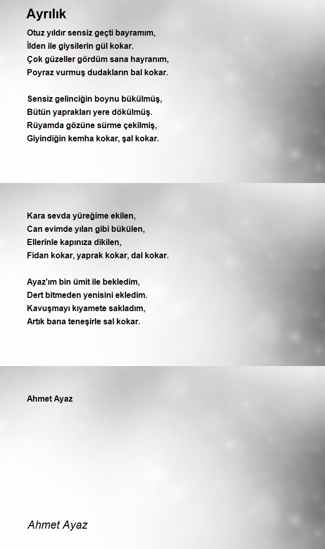 Ahmet Ayaz