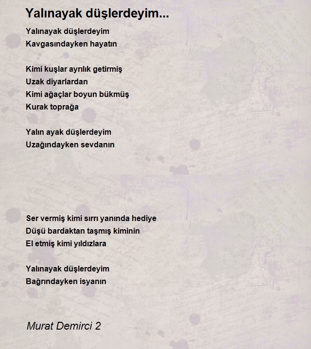 Murat Demirci 2