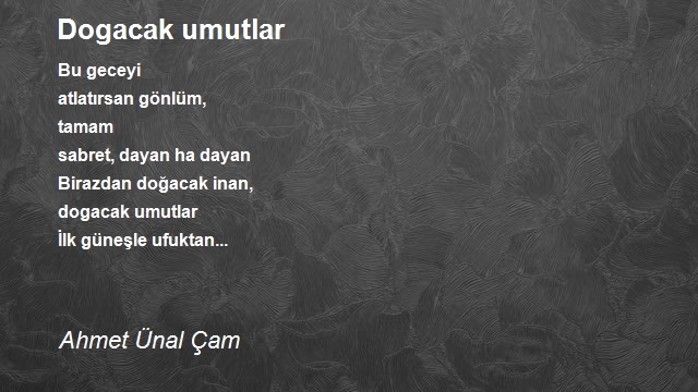 Ahmet Ünal Çam