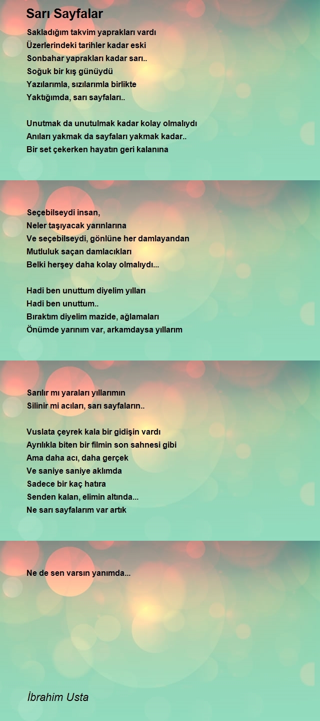 İbrahim Usta