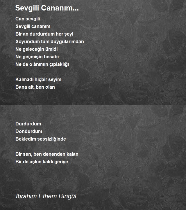 İbrahim Ethem Bingül