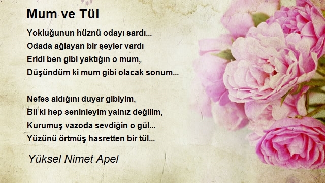 Yüksel Nimet Apel