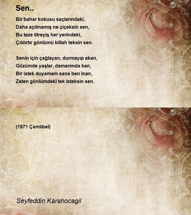 Seyfeddin Karahocagil