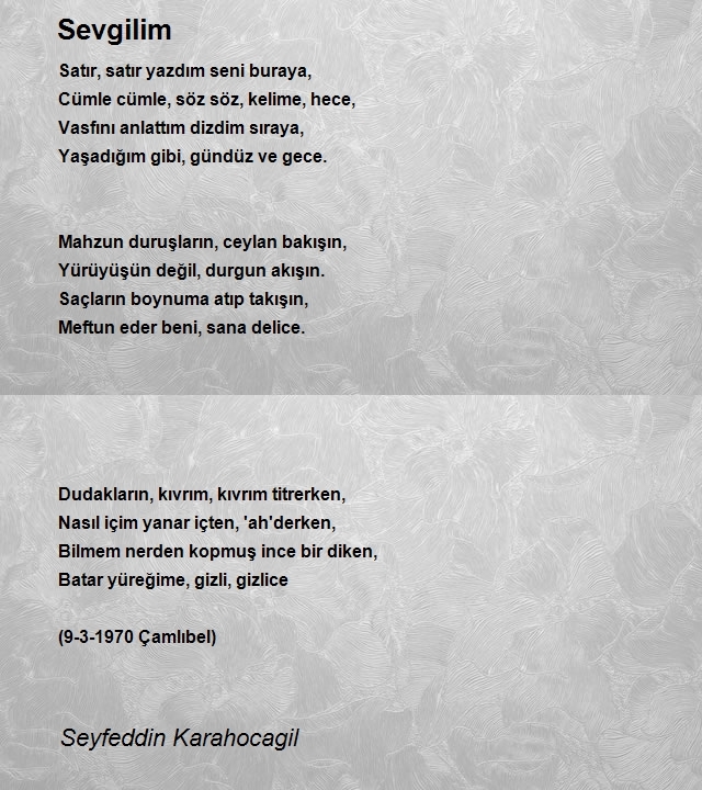 Seyfeddin Karahocagil