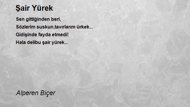 Alperen Biçer