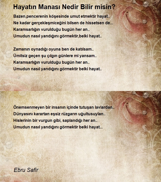 Ebru Safir