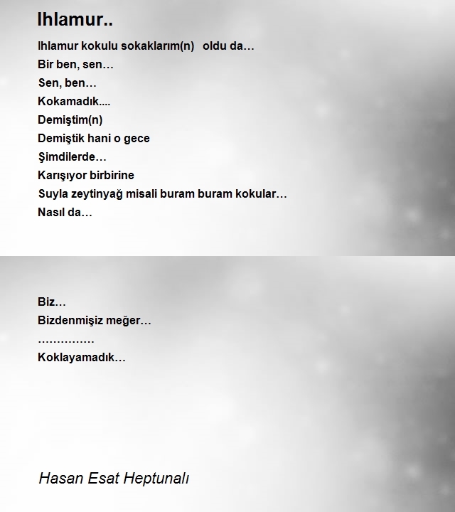 Hasan Esat Heptunalı