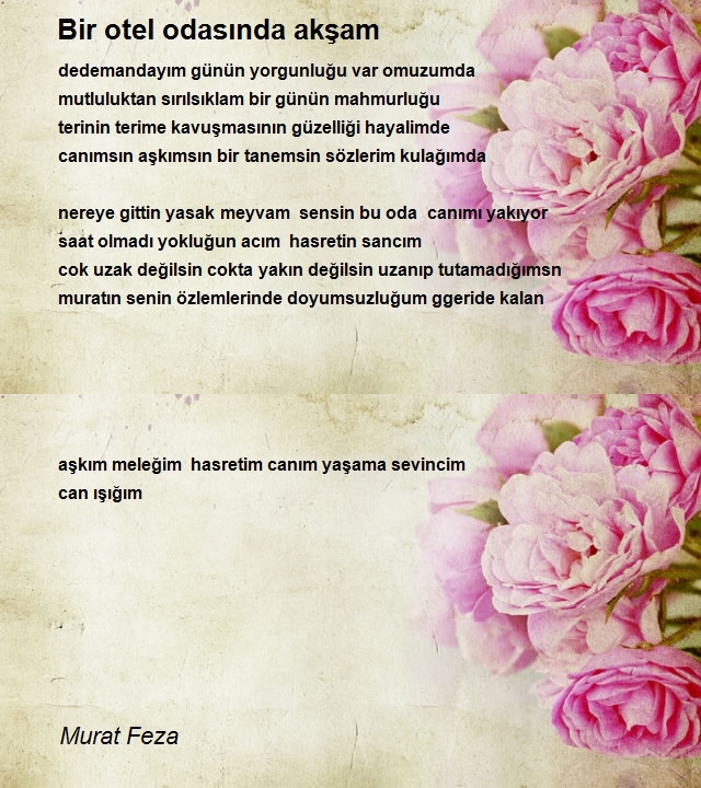 Murat Feza