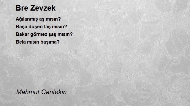 Mahmut Cantekin