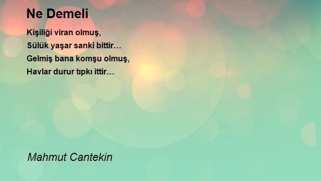 Mahmut Cantekin