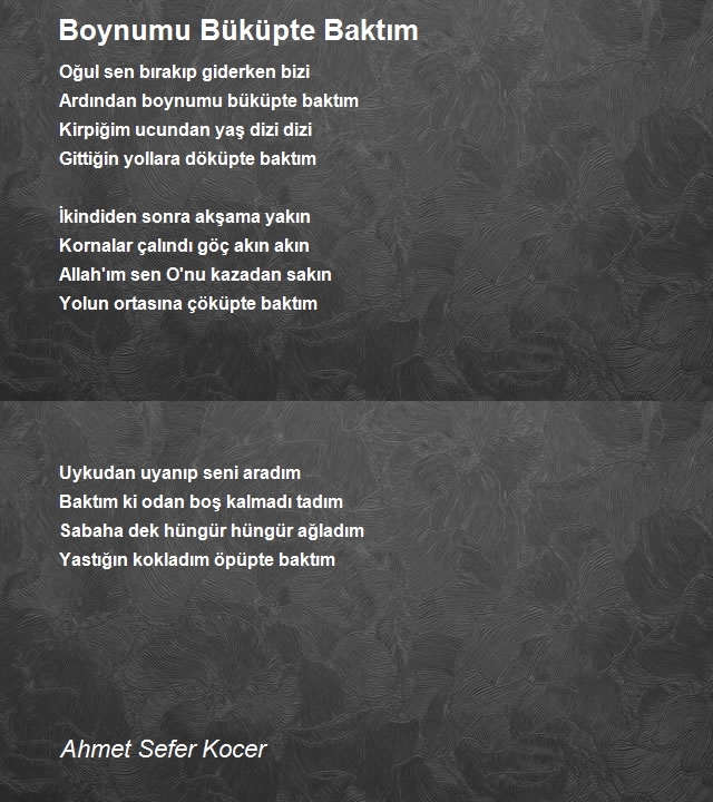 Ahmet Sefer Kocer