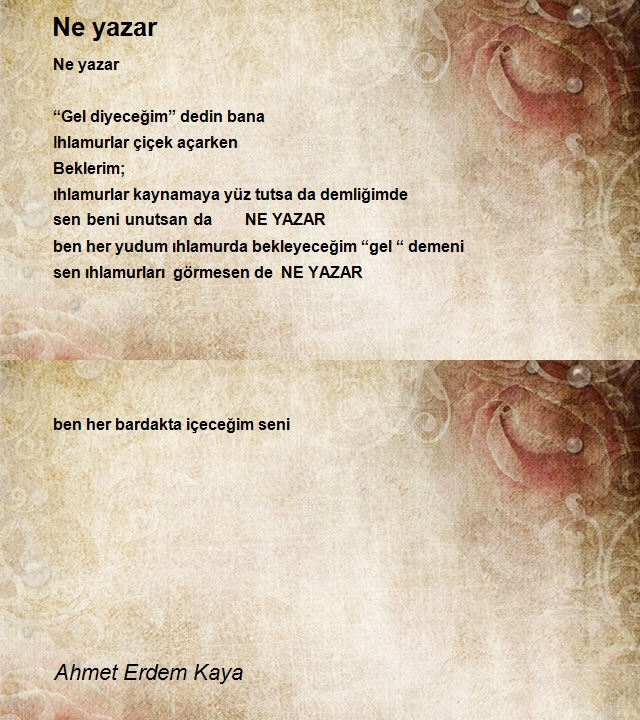 Ahmet Erdem Kaya