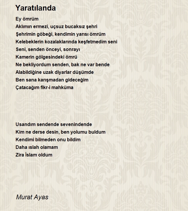 Murat Ayas