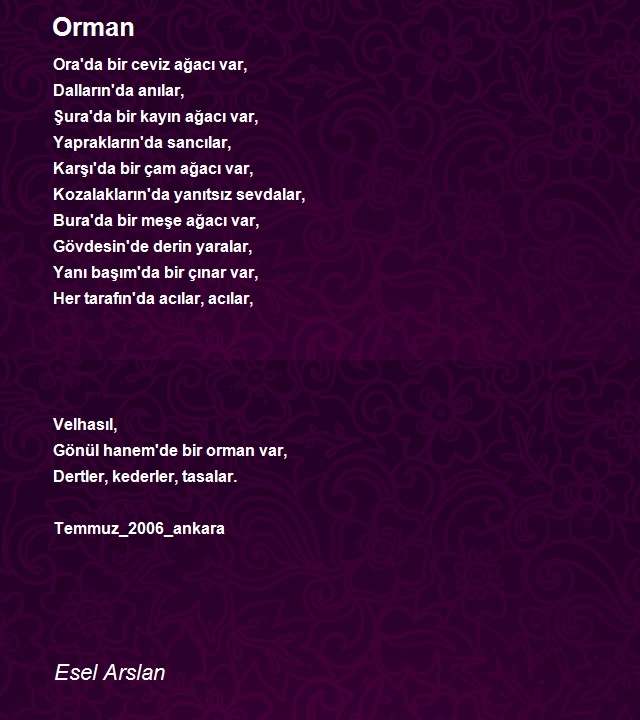 Esel Arslan