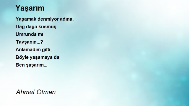 Ahmet Otman