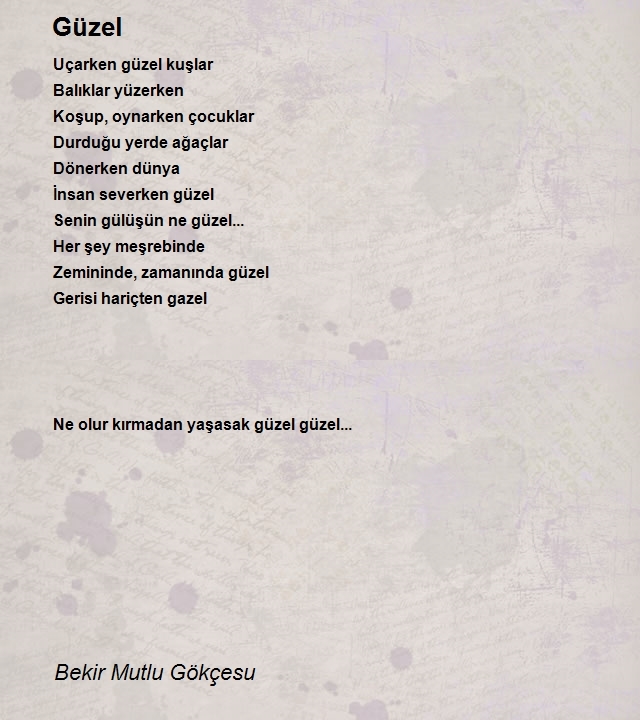 Bekir Mutlu Gökçesu