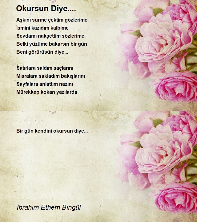 İbrahim Ethem Bingül