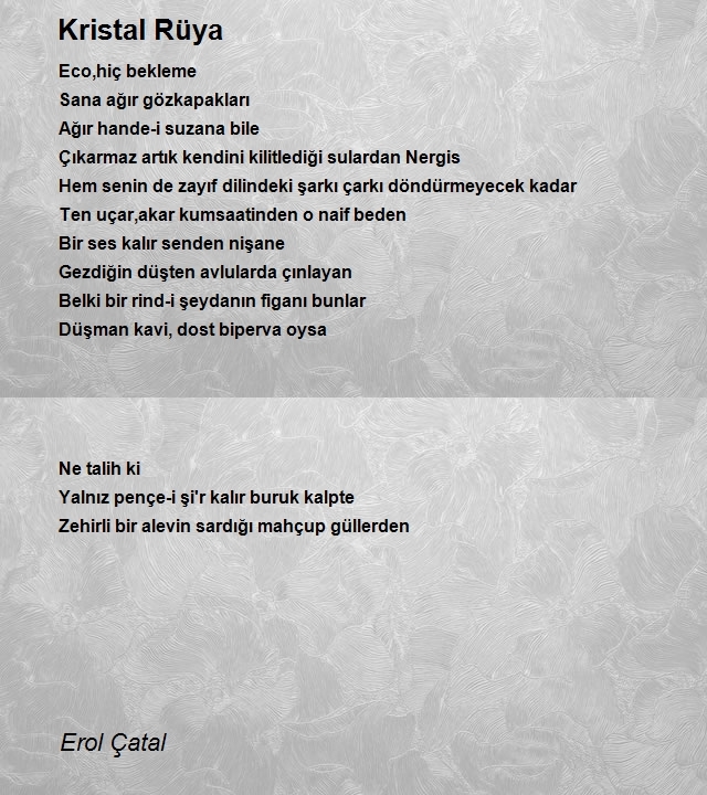 Erol Çatal