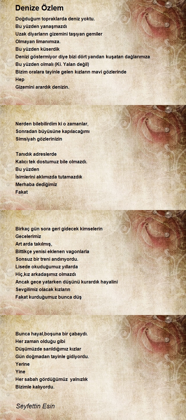 Seyfettin Esin