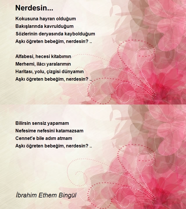 İbrahim Ethem Bingül