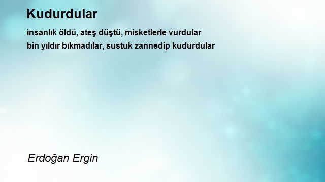 Erdoğan Ergin