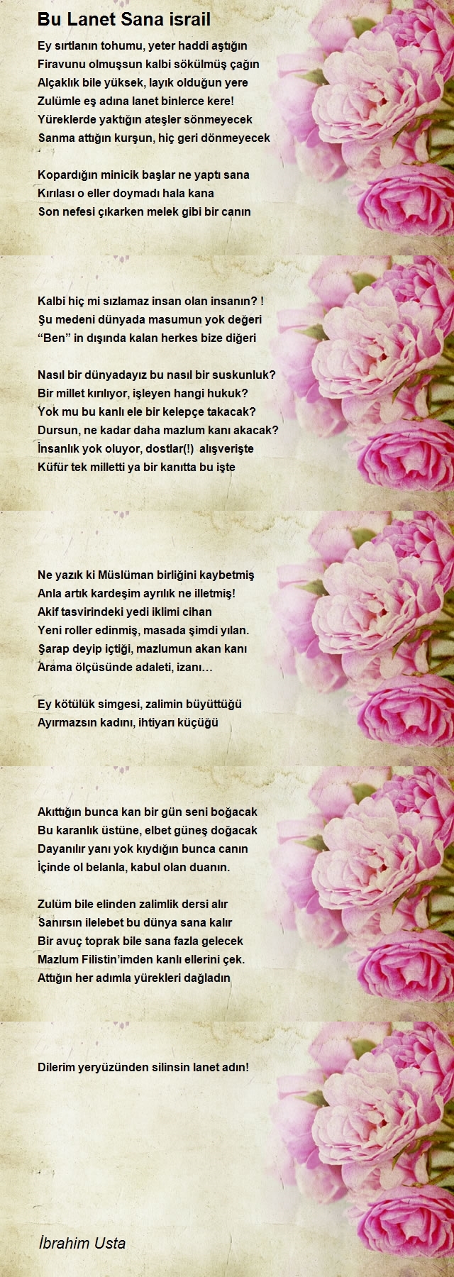 İbrahim Usta