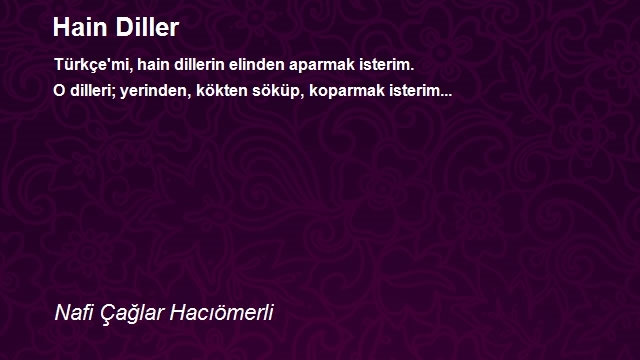 Nafi Çağlar Hacıömerli