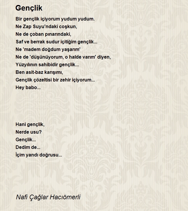 Nafi Çağlar Hacıömerli