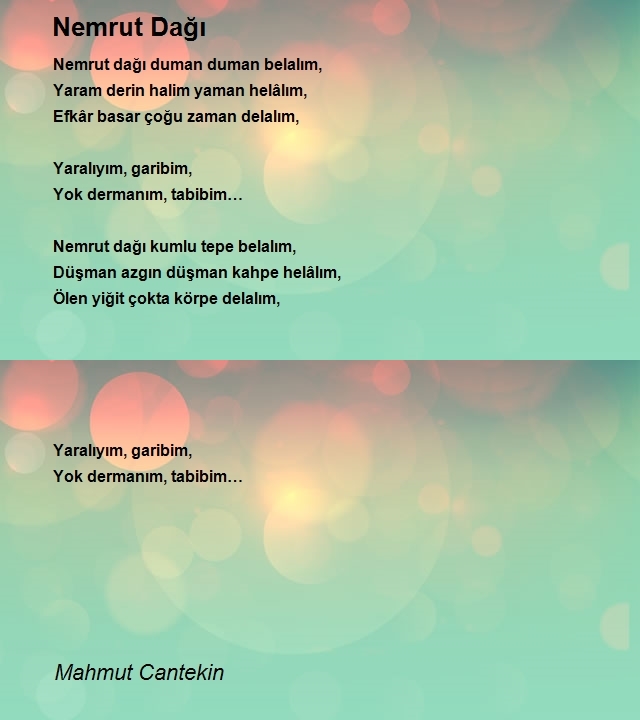 Mahmut Cantekin