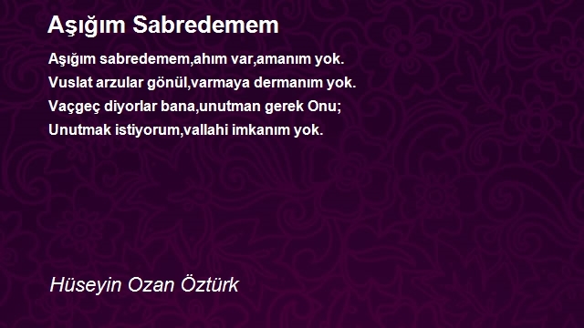 Hüseyin Ozan Öztürk