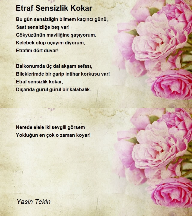 Yasin Tekin