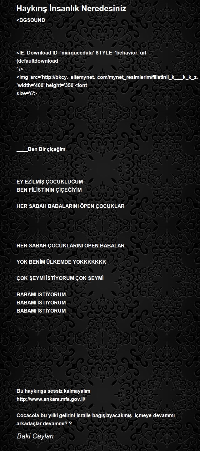 Baki Ceylan