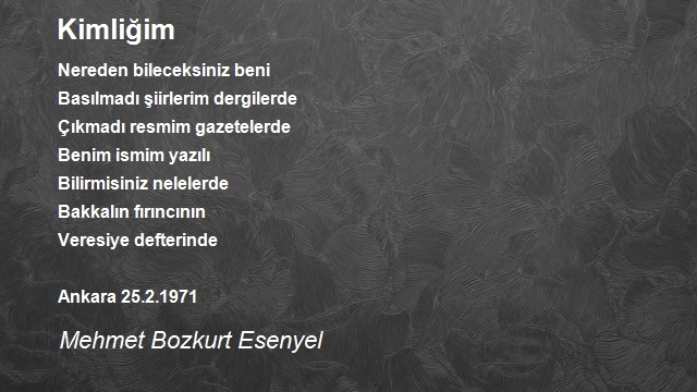 Mehmet Bozkurt Esenyel