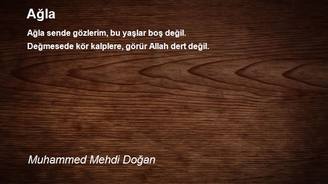 Muhammed Mehdi Doğan