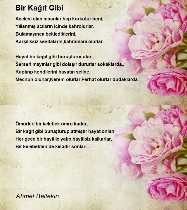 Ahmet Beltekin