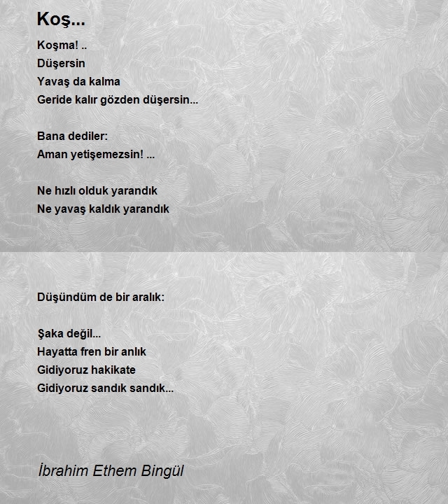 İbrahim Ethem Bingül