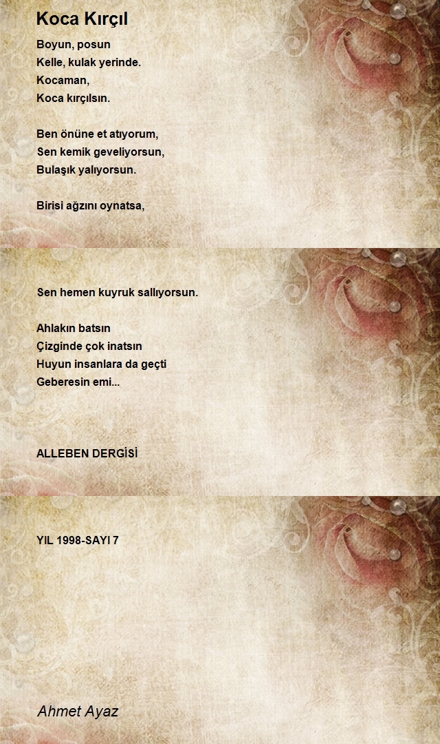 Ahmet Ayaz