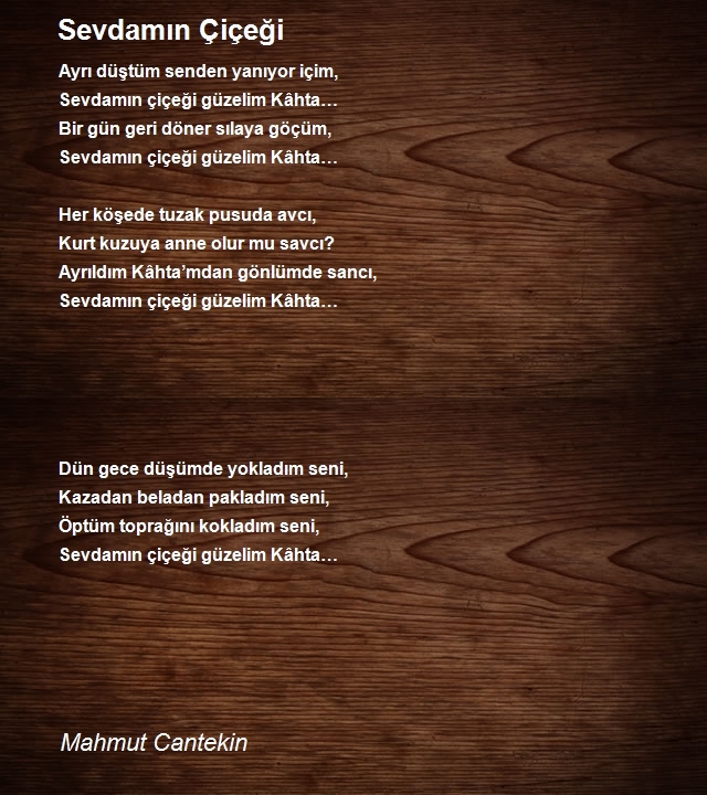 Mahmut Cantekin