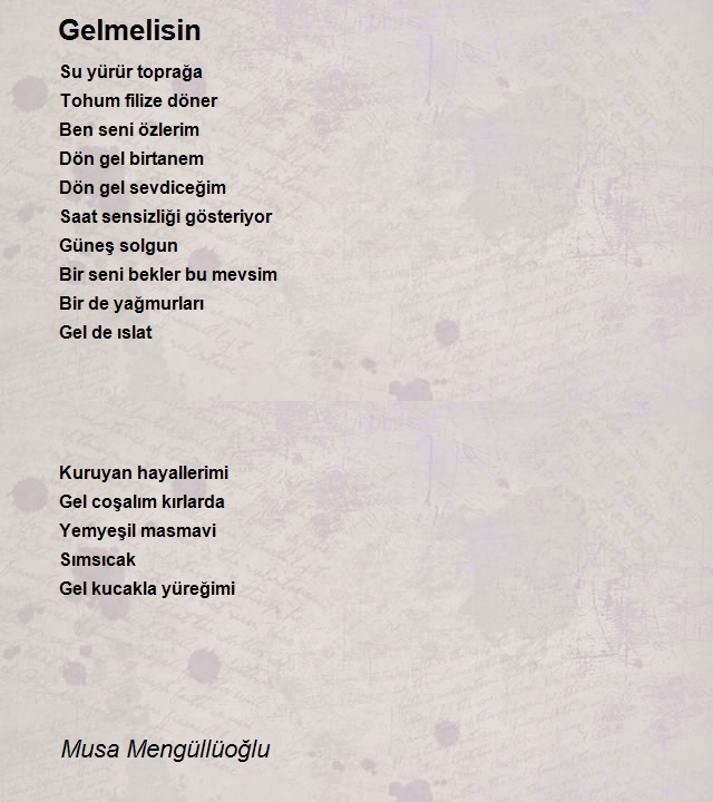 Musa Mengüllüoğlu