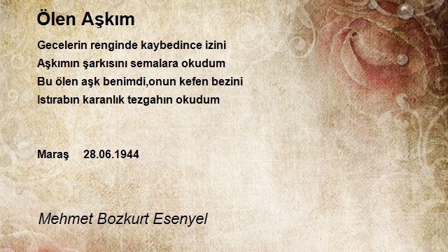 Mehmet Bozkurt Esenyel