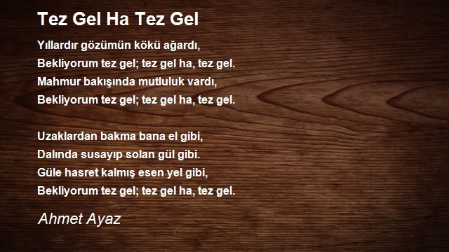 Ahmet Ayaz