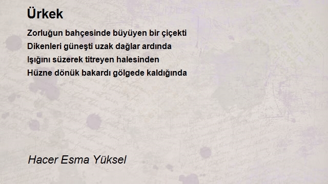 Hacer Esma Yüksel